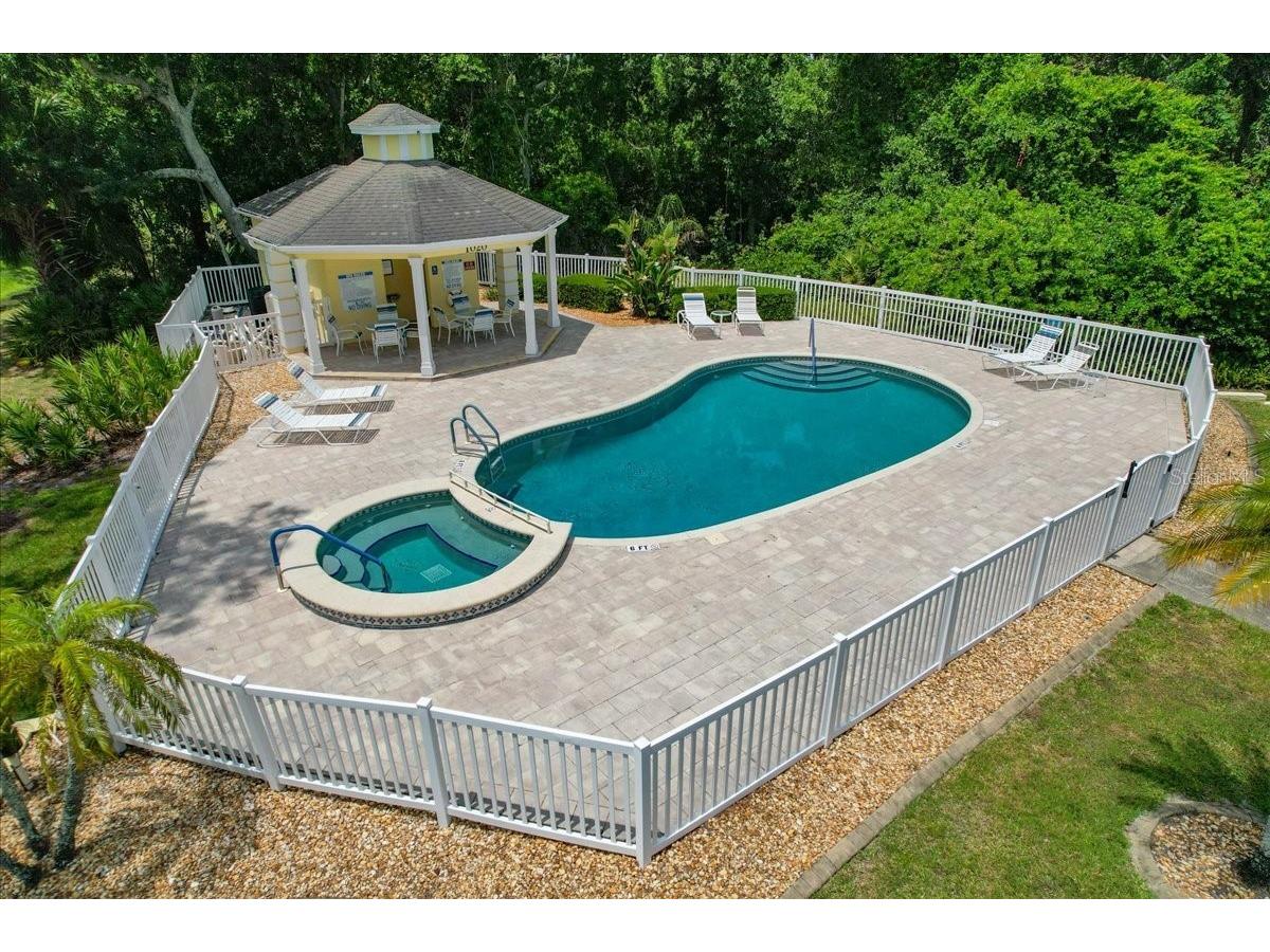 1171 Royal Boulevard Palm Harbor FL 34684 TB8487346 image40