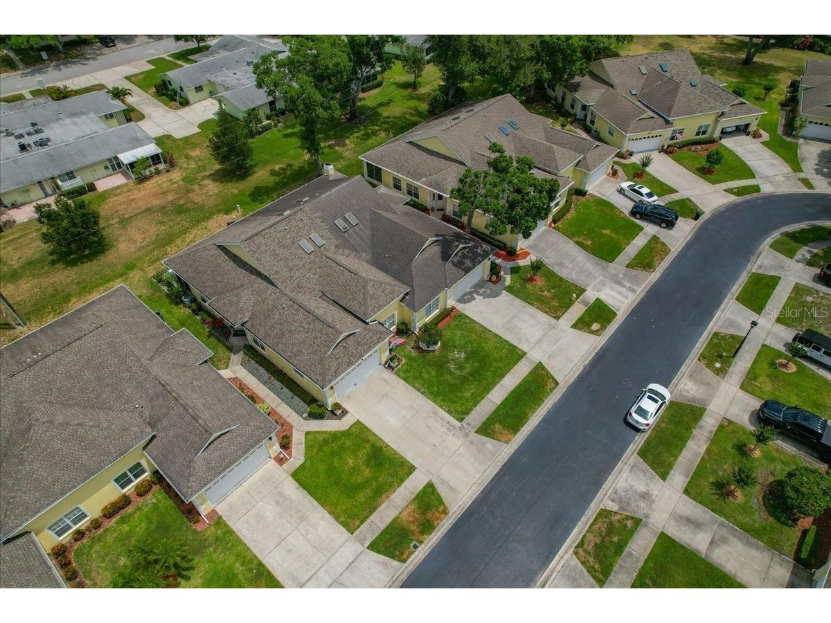 1171 Royal Boulevard Palm Harbor FL 34684 TB8487346 image48