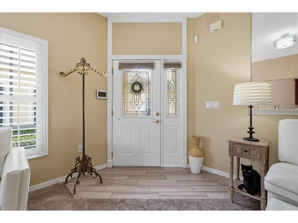 1171 Royal Boulevard Palm Harbor FL 34684 TB8487346 image5