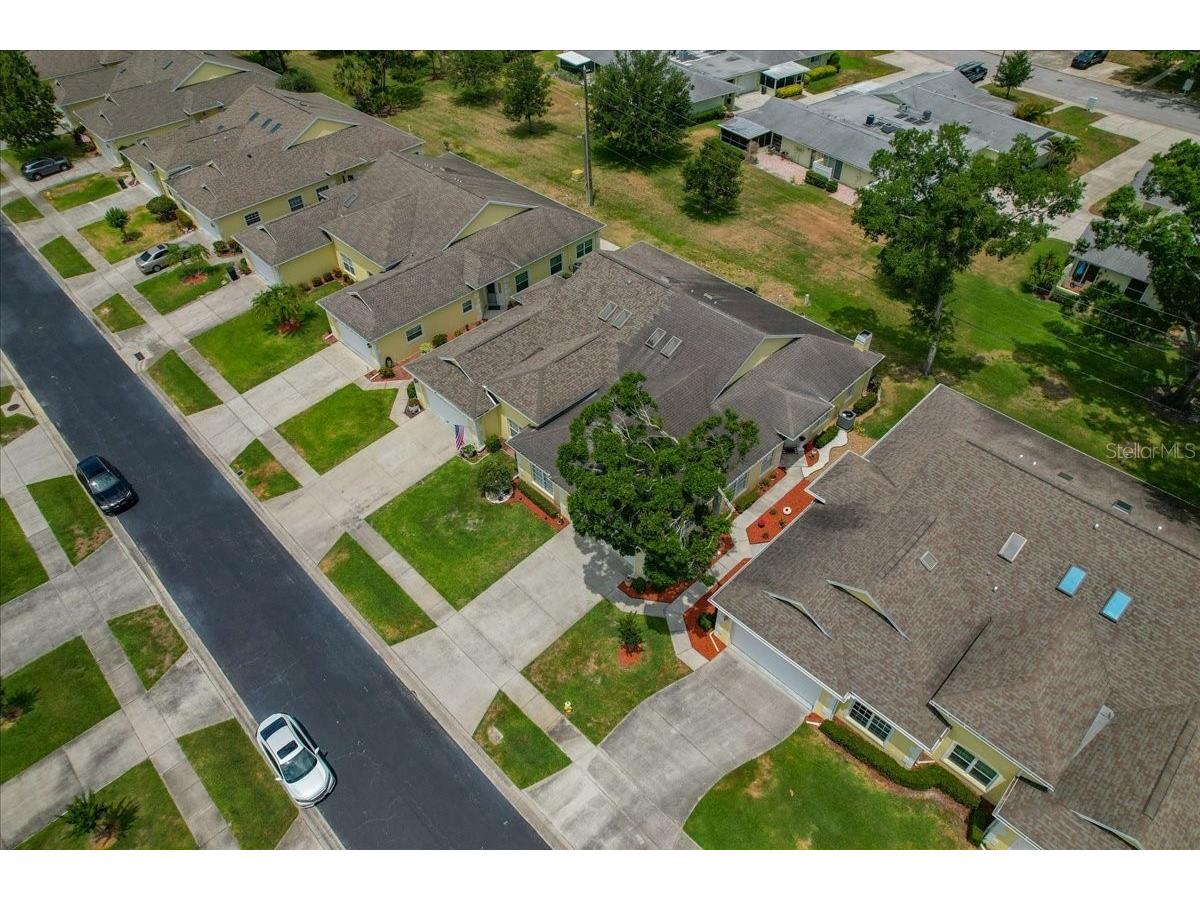1171 Royal Boulevard Palm Harbor FL 34684 TB8487346 image50