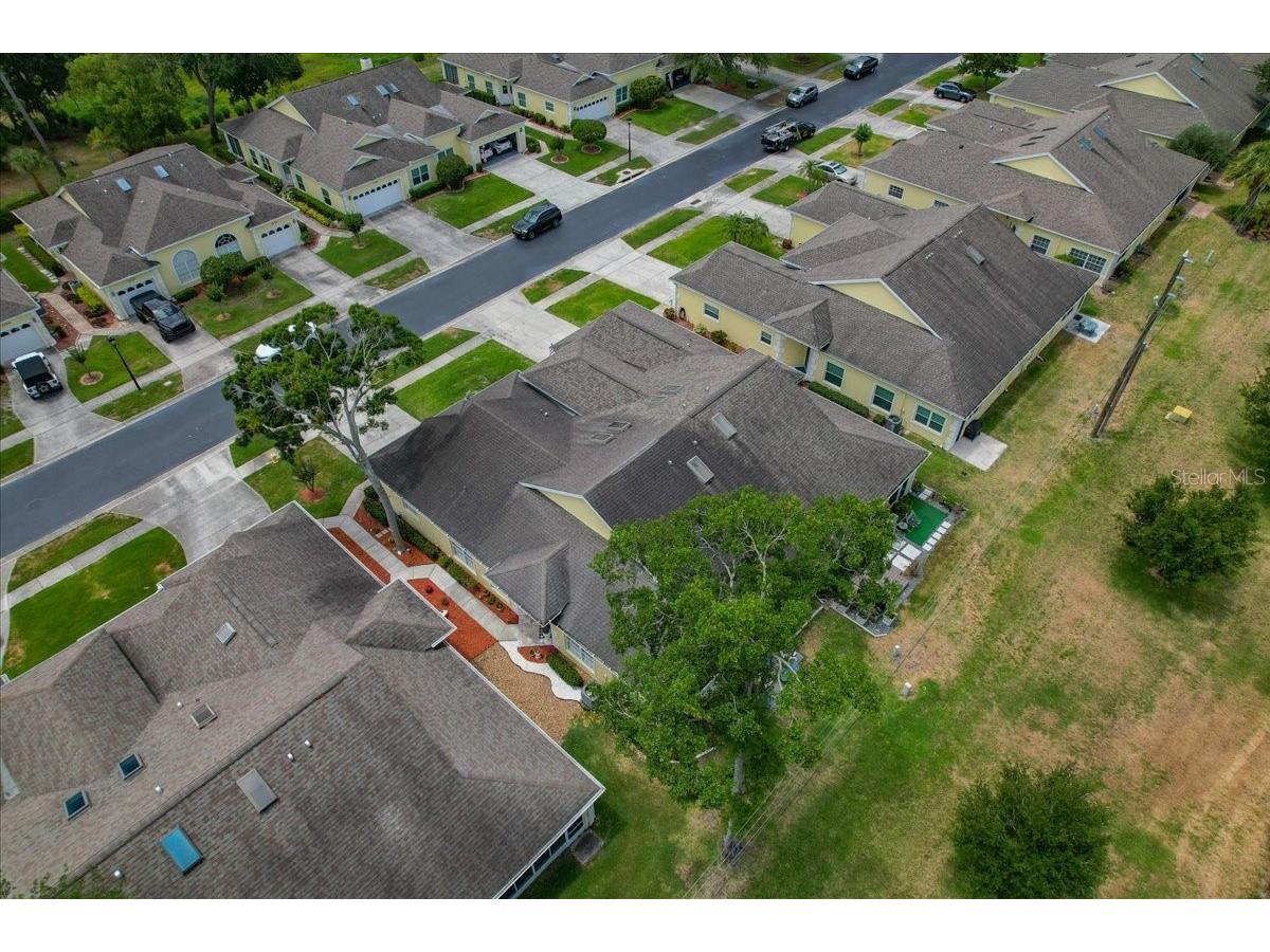 1171 Royal Boulevard Palm Harbor FL 34684 TB8487346 image52