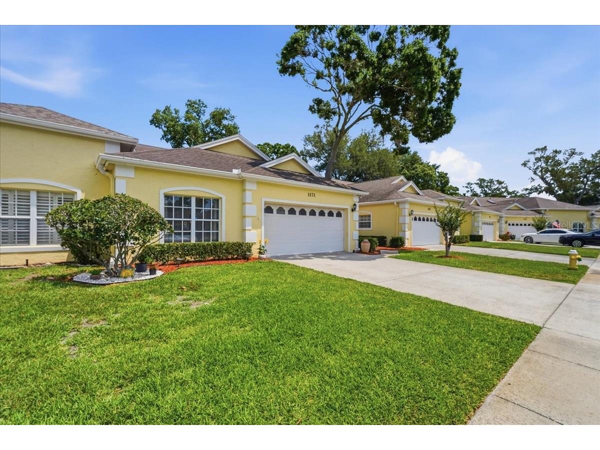 1171 Royal Boulevard Palm Harbor FL 34684 TB8487346 image54