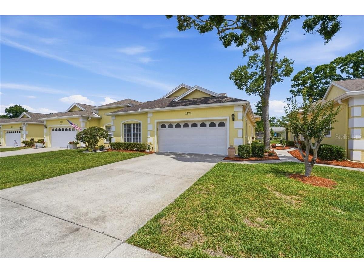 1171 Royal Boulevard Palm Harbor FL 34684 TB8487346 image55