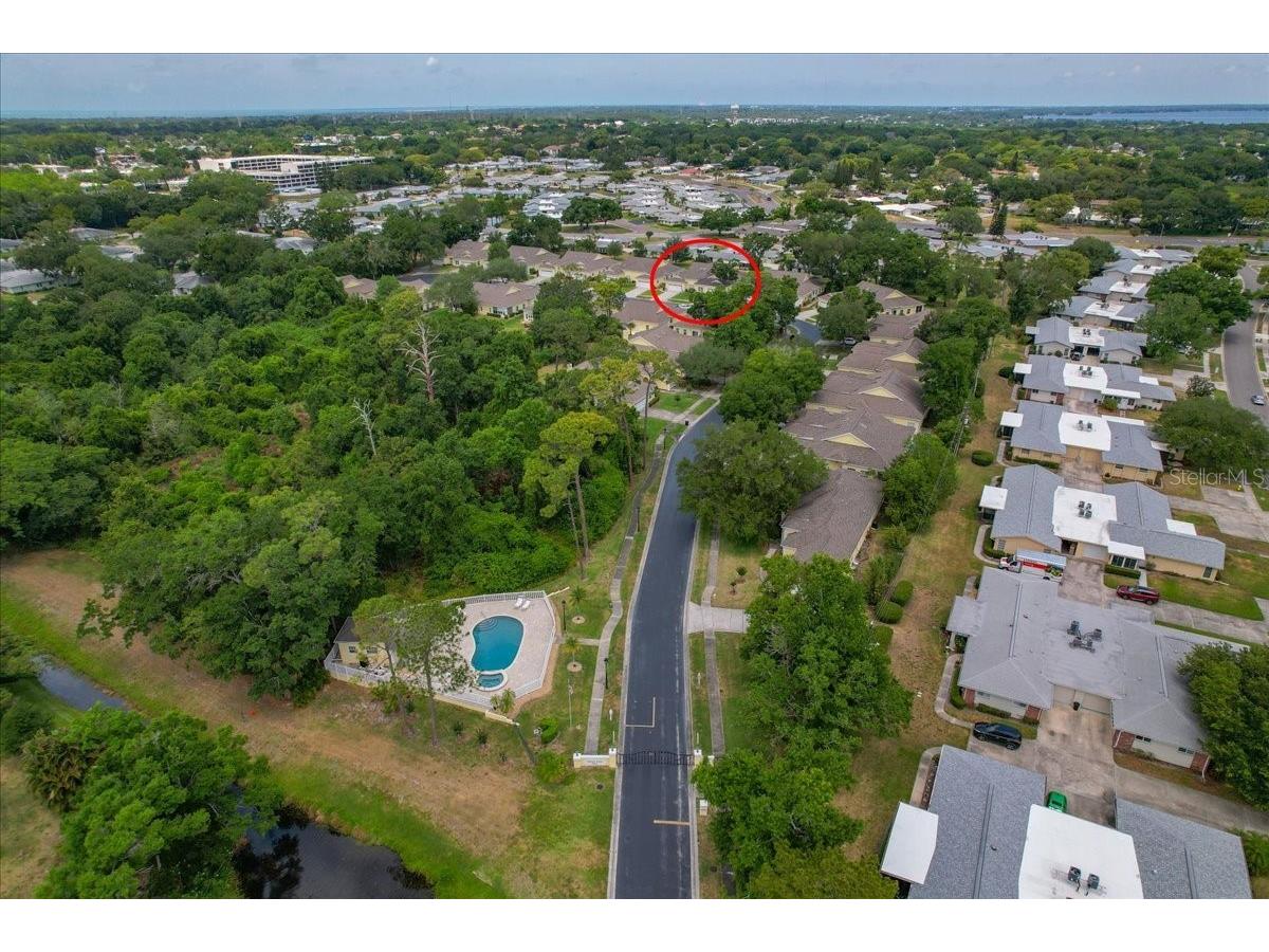 1171 Royal Boulevard Palm Harbor FL 34684 TB8487346 image56