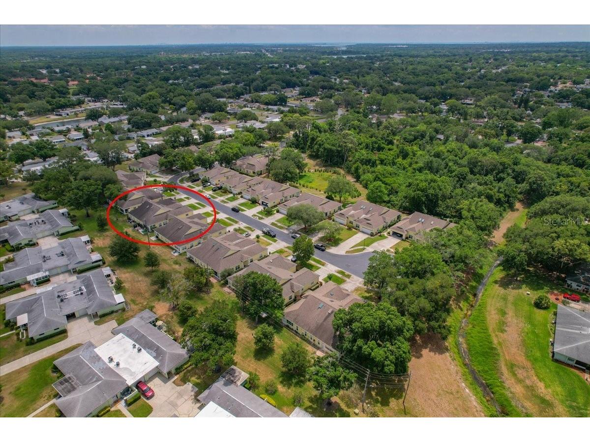 1171 Royal Boulevard Palm Harbor FL 34684 TB8487346 image57