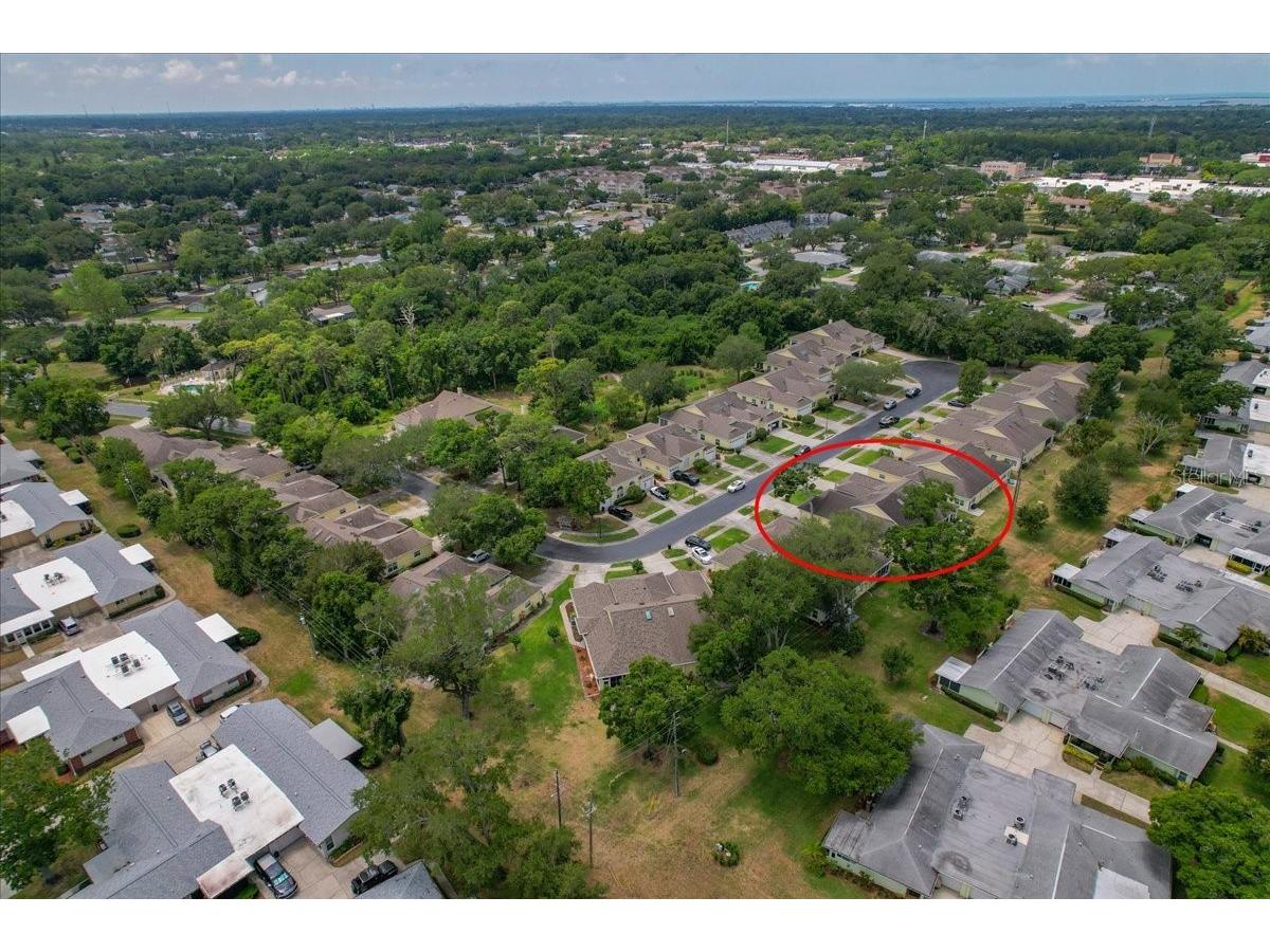 1171 Royal Boulevard Palm Harbor FL 34684 TB8487346 image58
