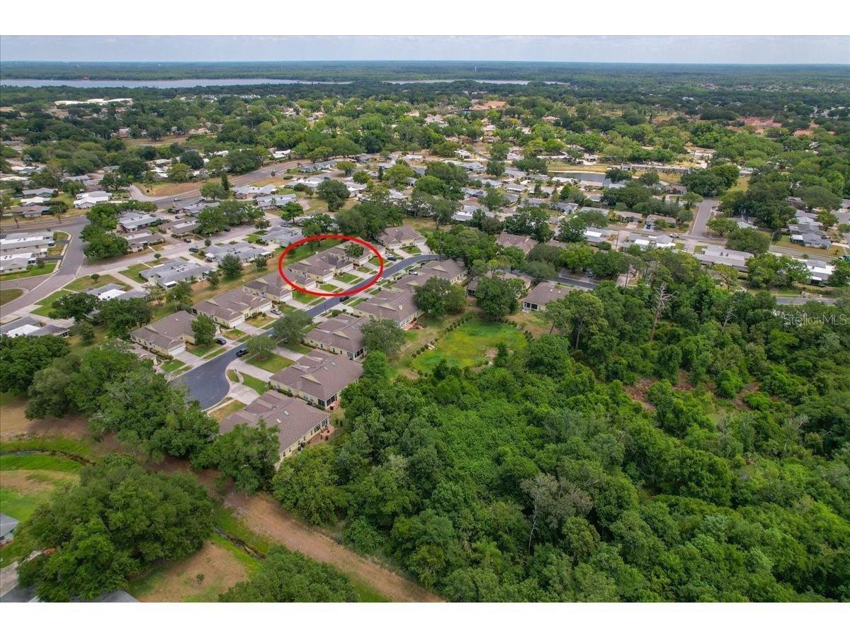 1171 Royal Boulevard Palm Harbor FL 34684 TB8487346 image59