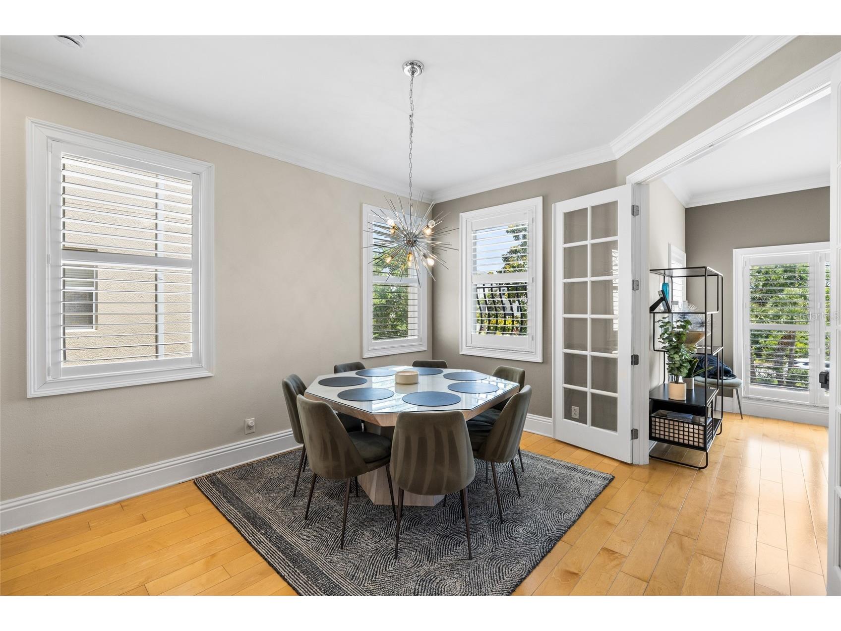 1171 Venetian Harbor Drive NE Saint Petersburg FL 33702 TB8511942 image17