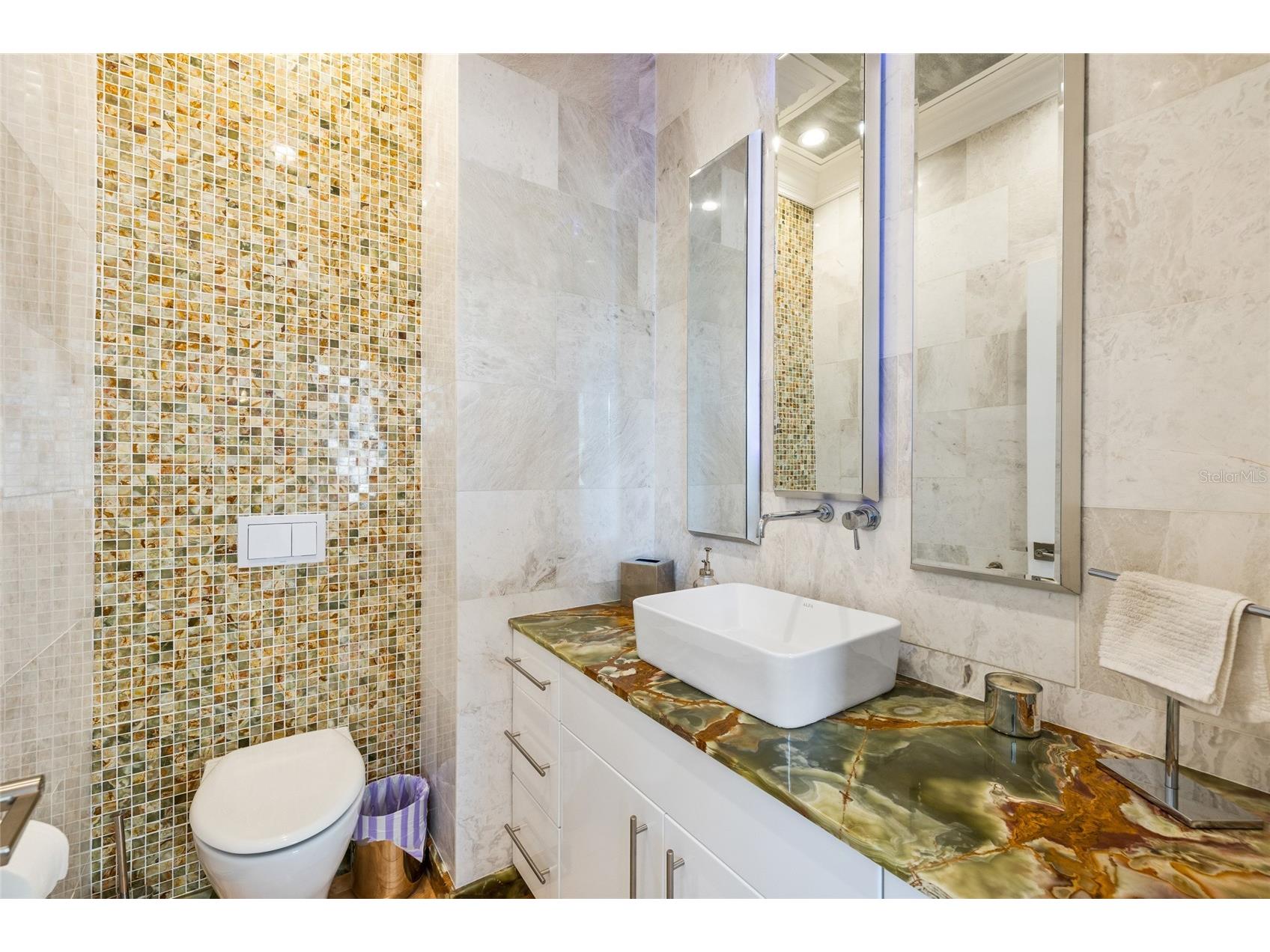 1171 Venetian Harbor Drive NE Saint Petersburg FL 33702 TB8511942 image19