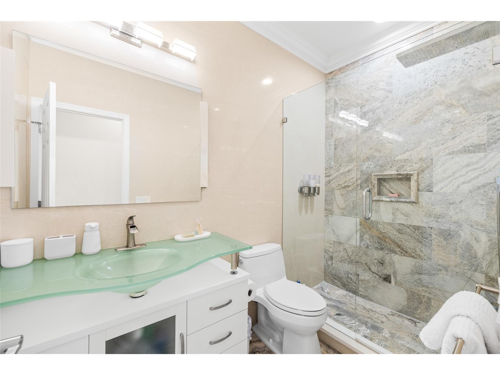 1171 Venetian Harbor Drive NE Saint Petersburg FL 33702 TB8511942 image30