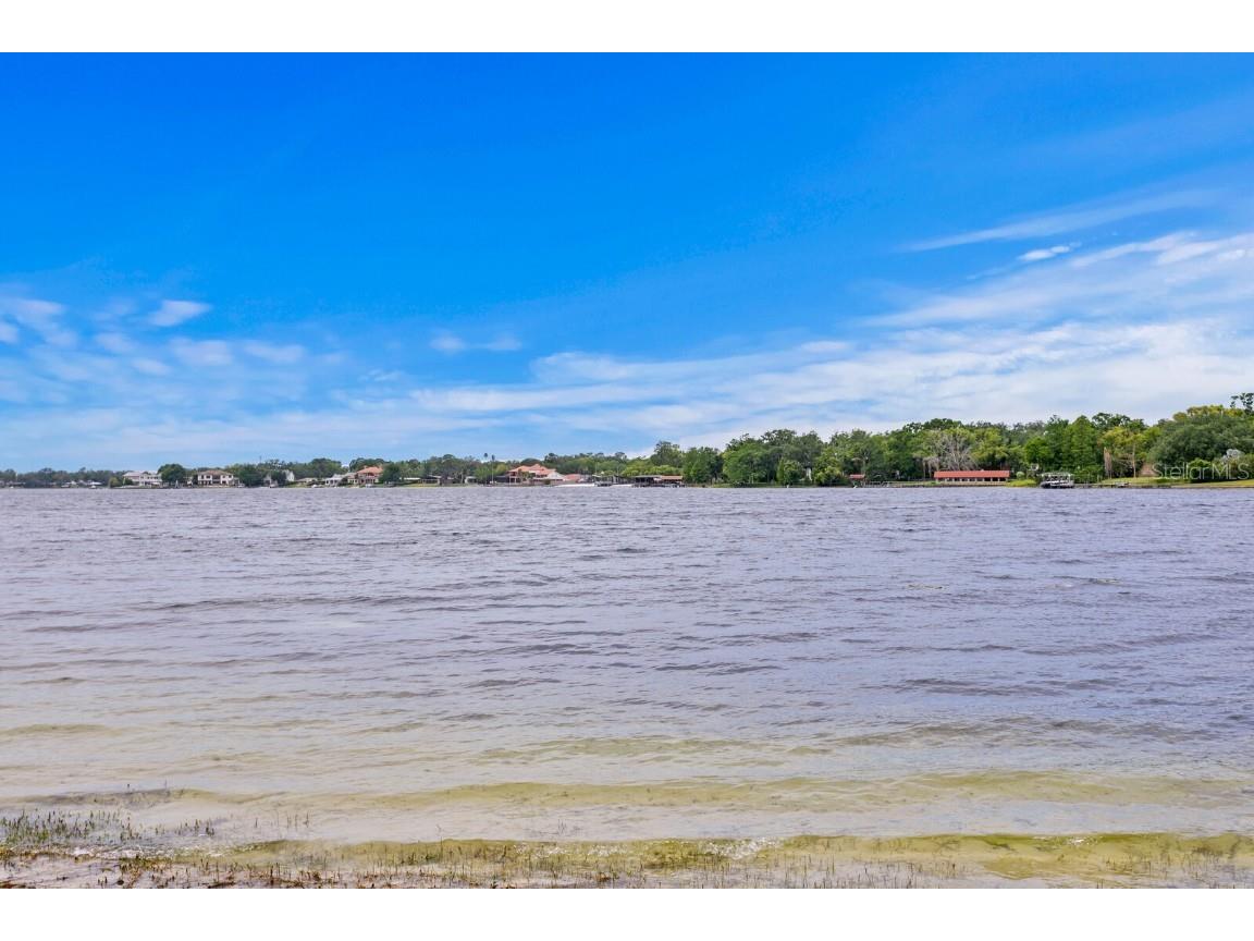 11710 N Armenia Avenue Tampa FL 33612 TB8412569 image69