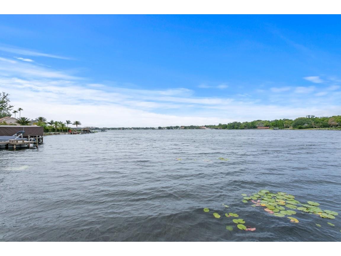 11710 N Armenia Avenue Tampa FL 33612 TB8412569 image70