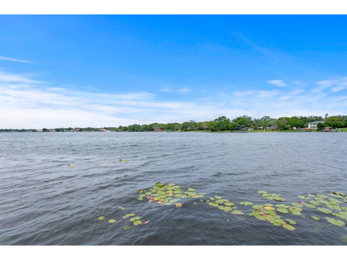 11710 N Armenia Avenue Tampa FL 33612 TB8412569 image71