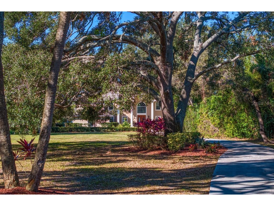 11710 N Armenia Avenue Tampa FL 33612 TB8412569 image76