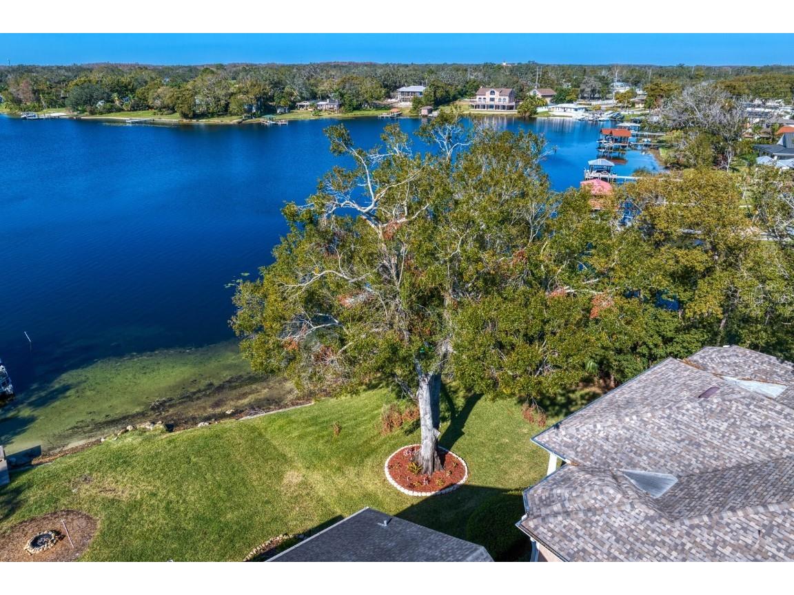 11710 N Armenia Avenue Tampa FL 33612 TB8412569 image82