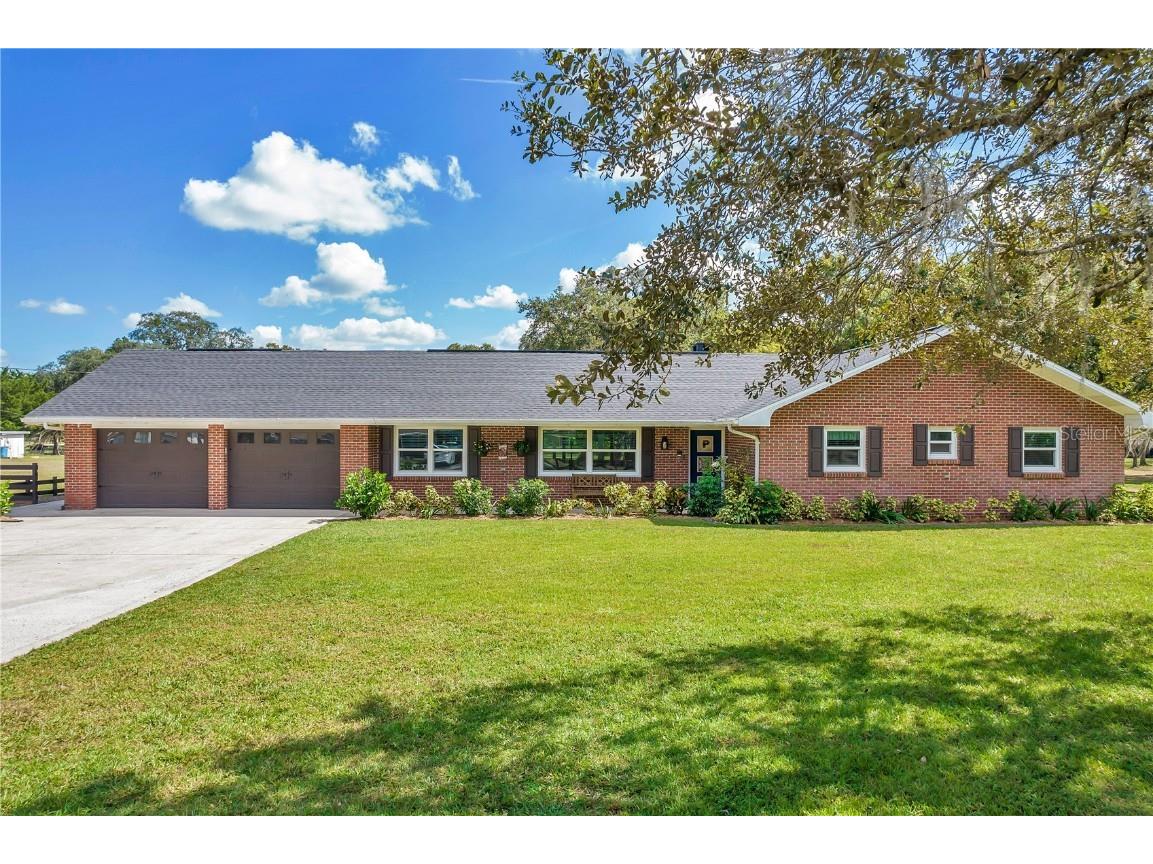 11710 Pine Forest Drive New Port Richey FL 34654 U8140924 image1