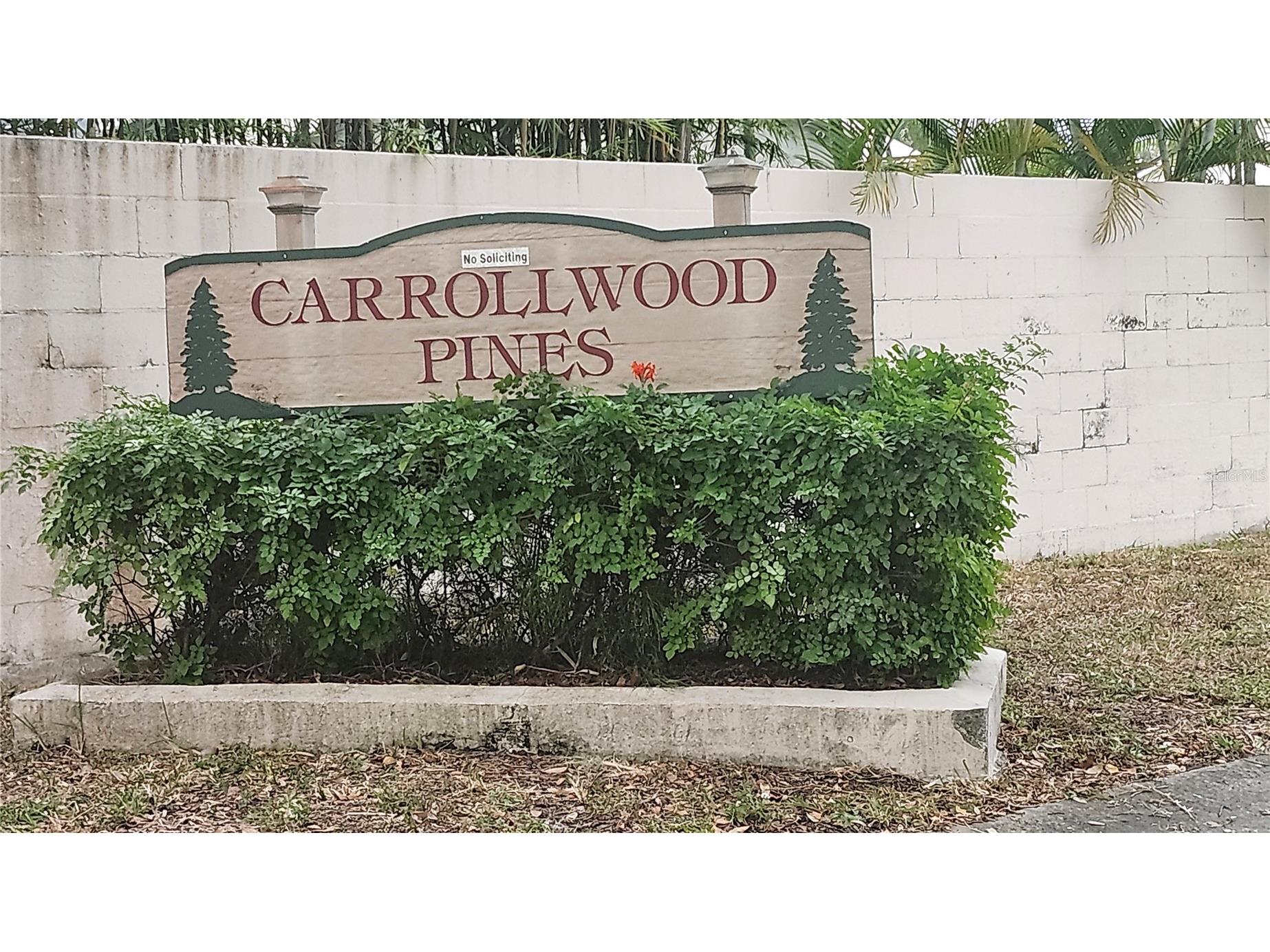 11710 Wesson Circle W Tampa FL 33618 TB8468328 image2