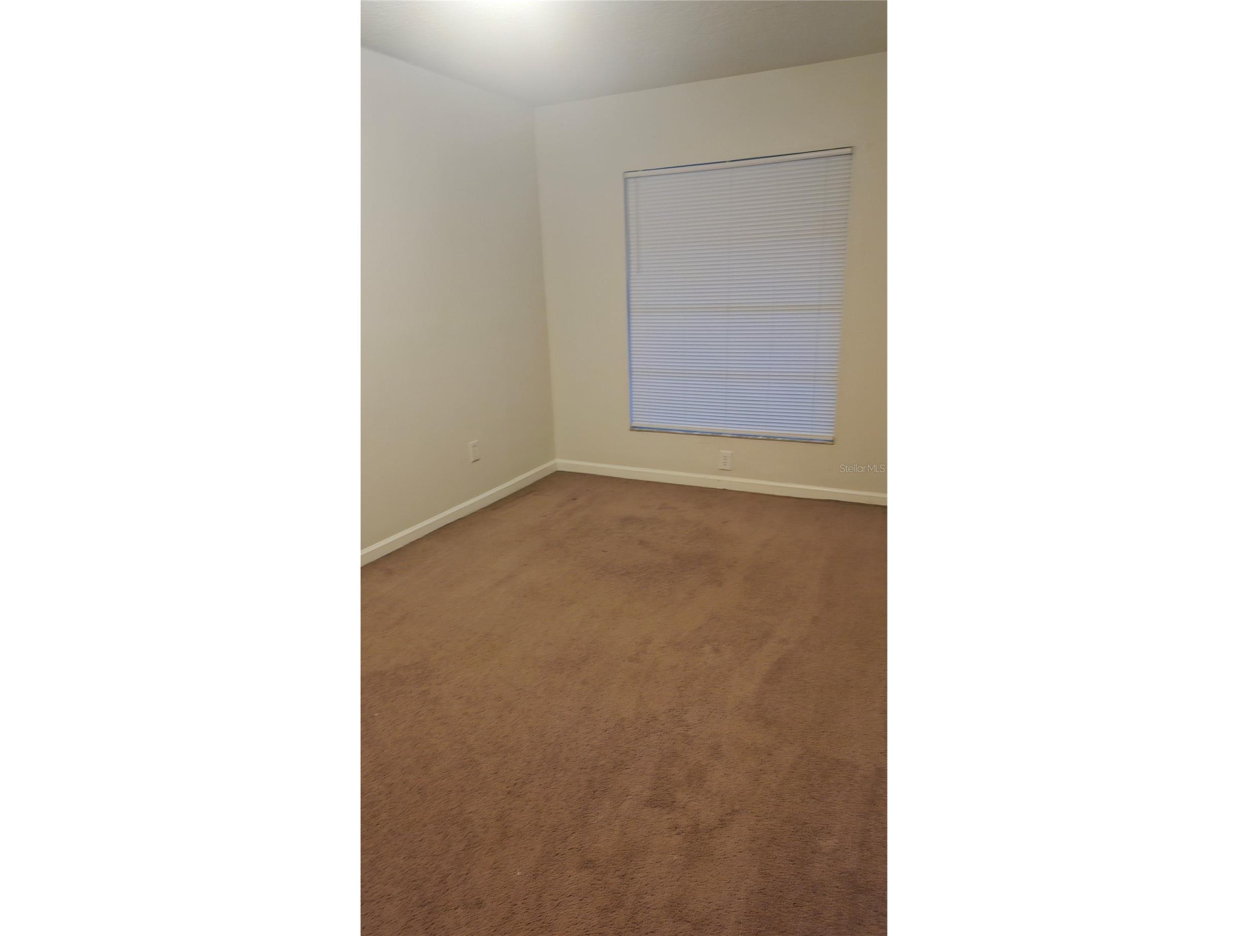 11710 Wesson Circle W Tampa FL 33618 TB8468328 image25