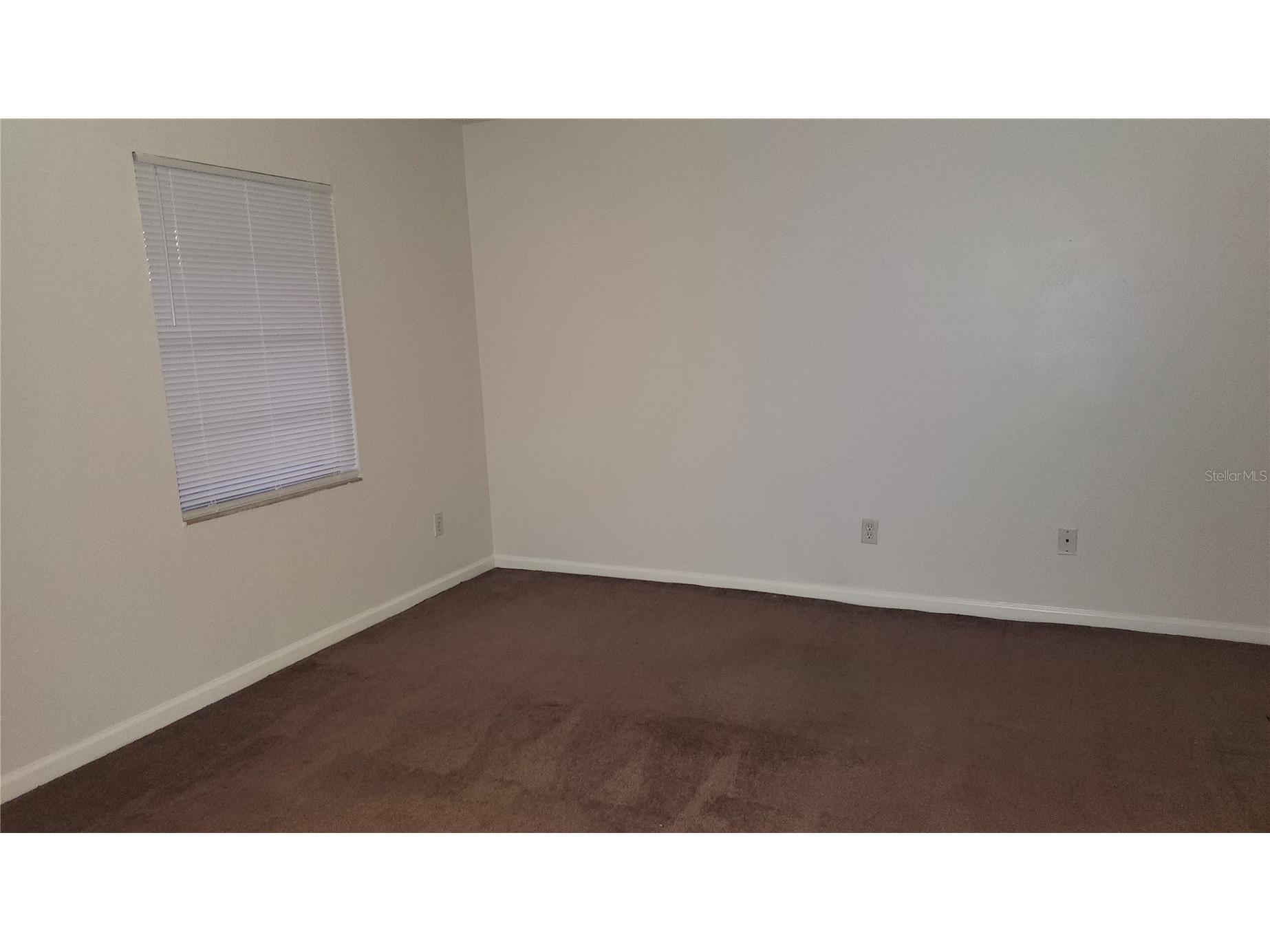 11710 Wesson Circle W Tampa FL 33618 TB8468328 image32