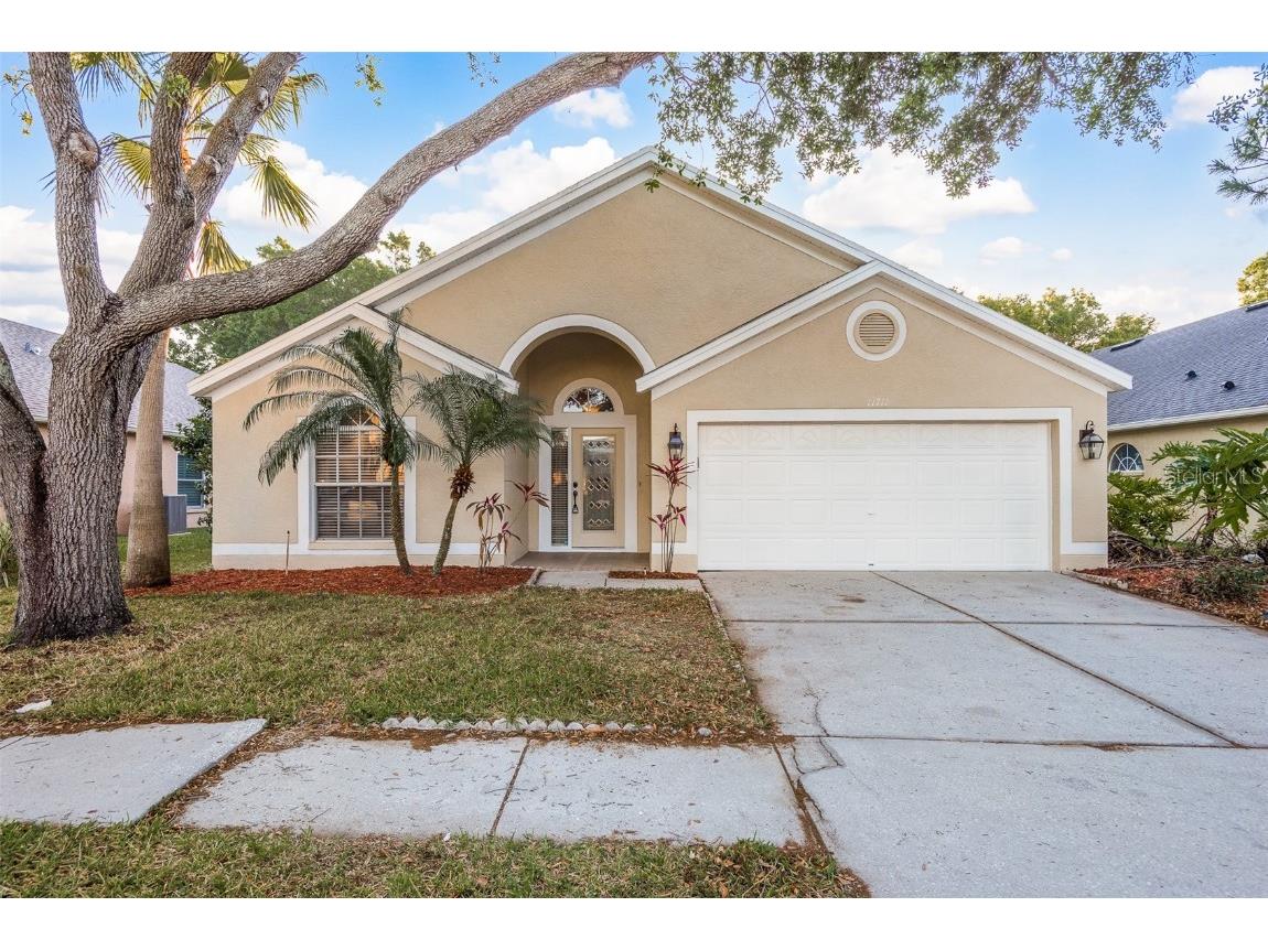 11711 Carrollwood Cove Drive Tampa FL 33624 U8194722 image1