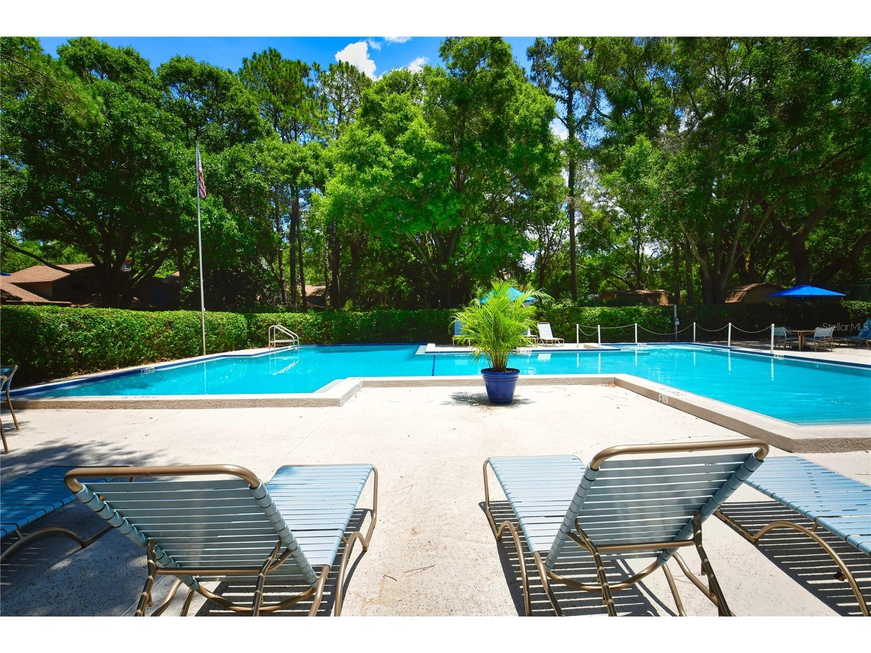 11711 Ridgeview Lane Seminole FL 33772 TB8454378 image15