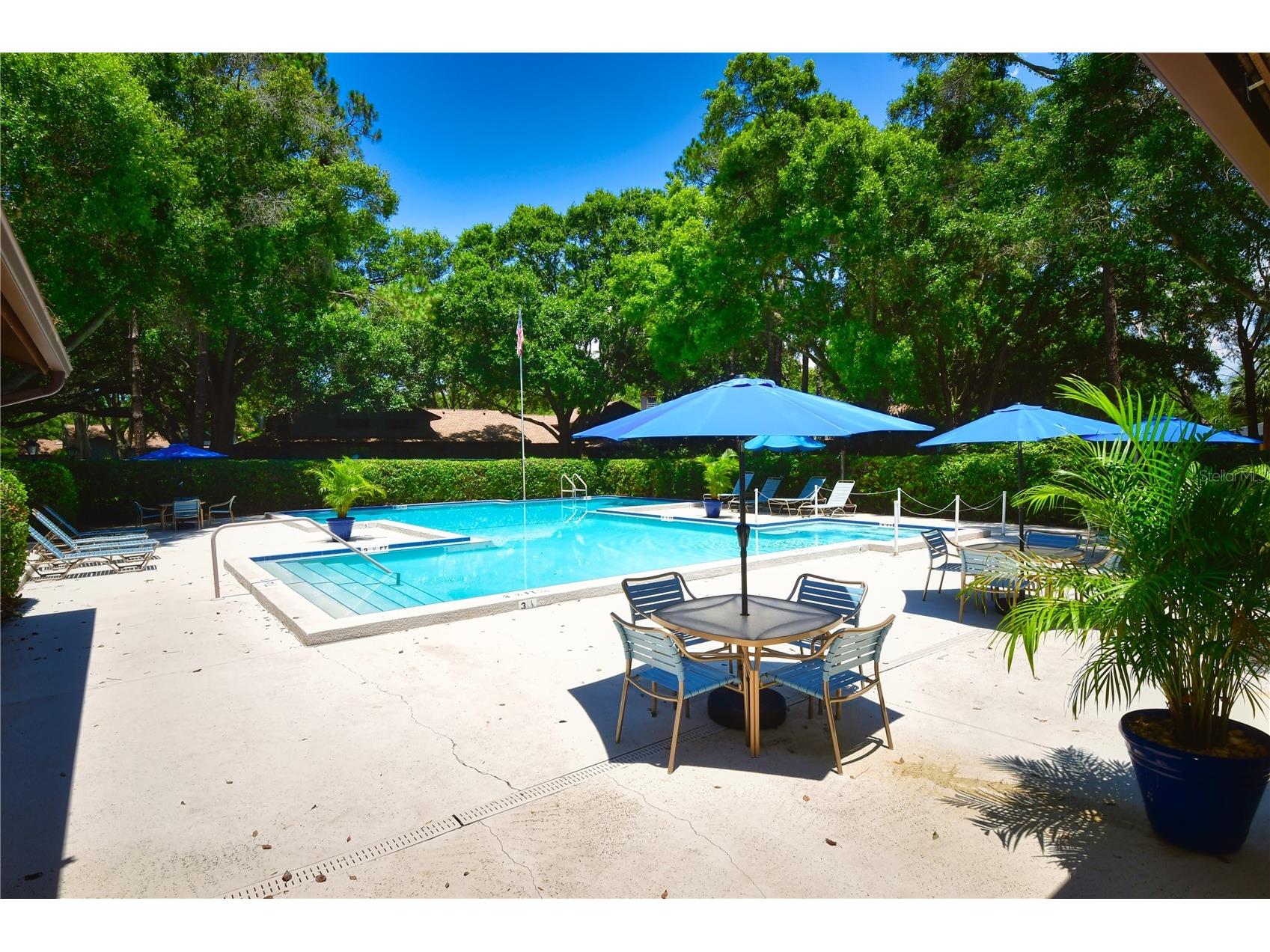 11711 Ridgeview Lane Seminole FL 33772 TB8454378 image17