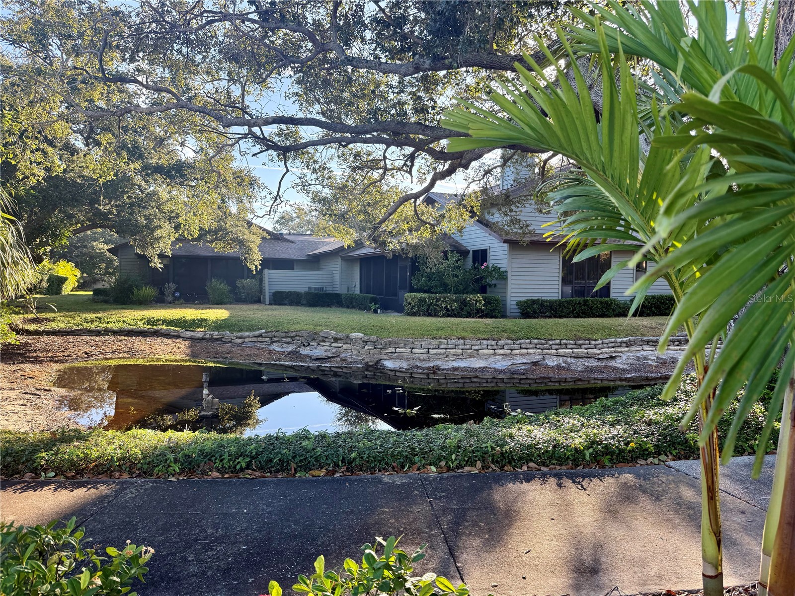 11711 Ridgeview Lane Seminole FL 33772 TB8454378 image2