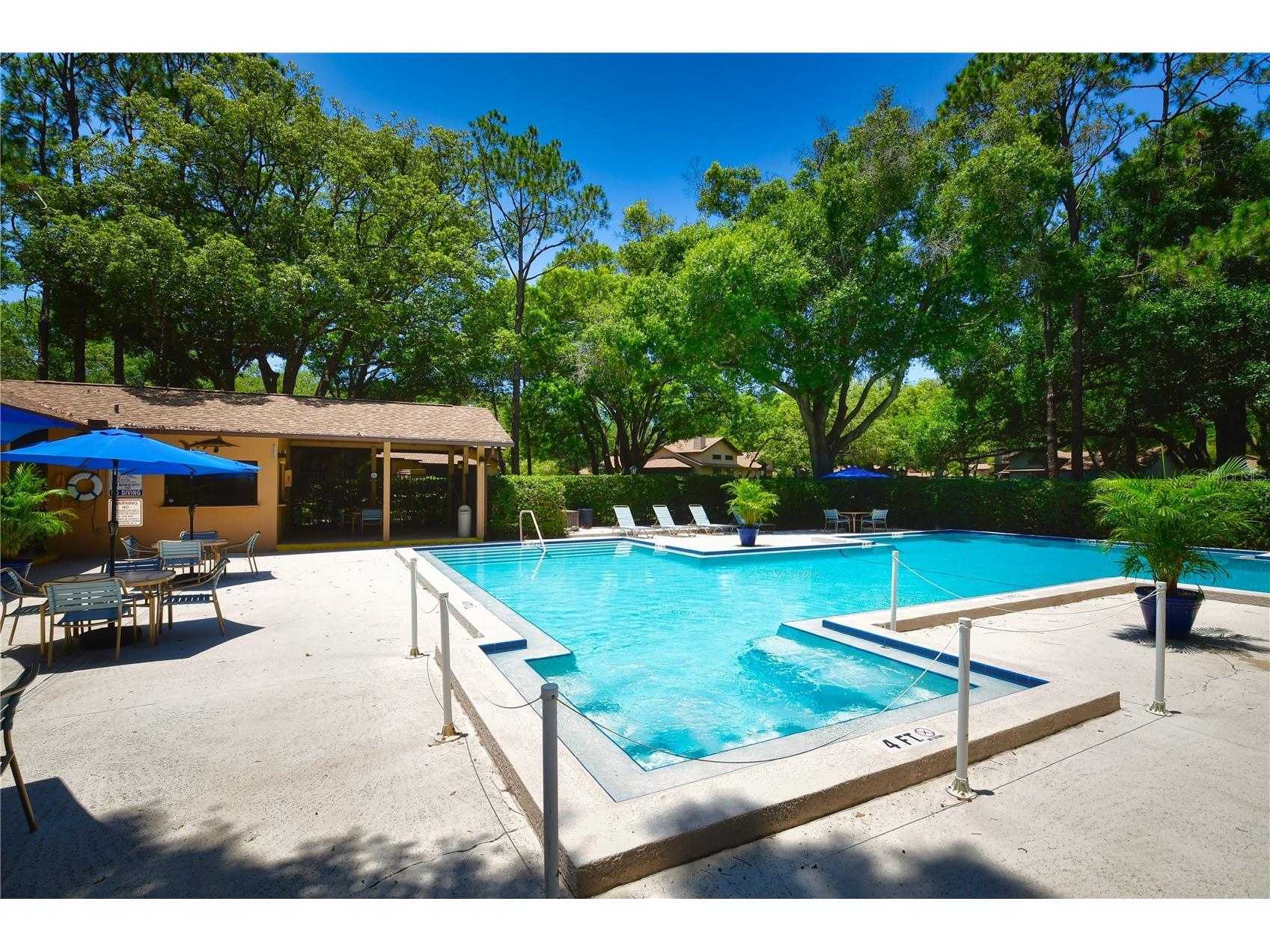 11711 Ridgeview Lane Seminole FL 33772 TB8454378 image21