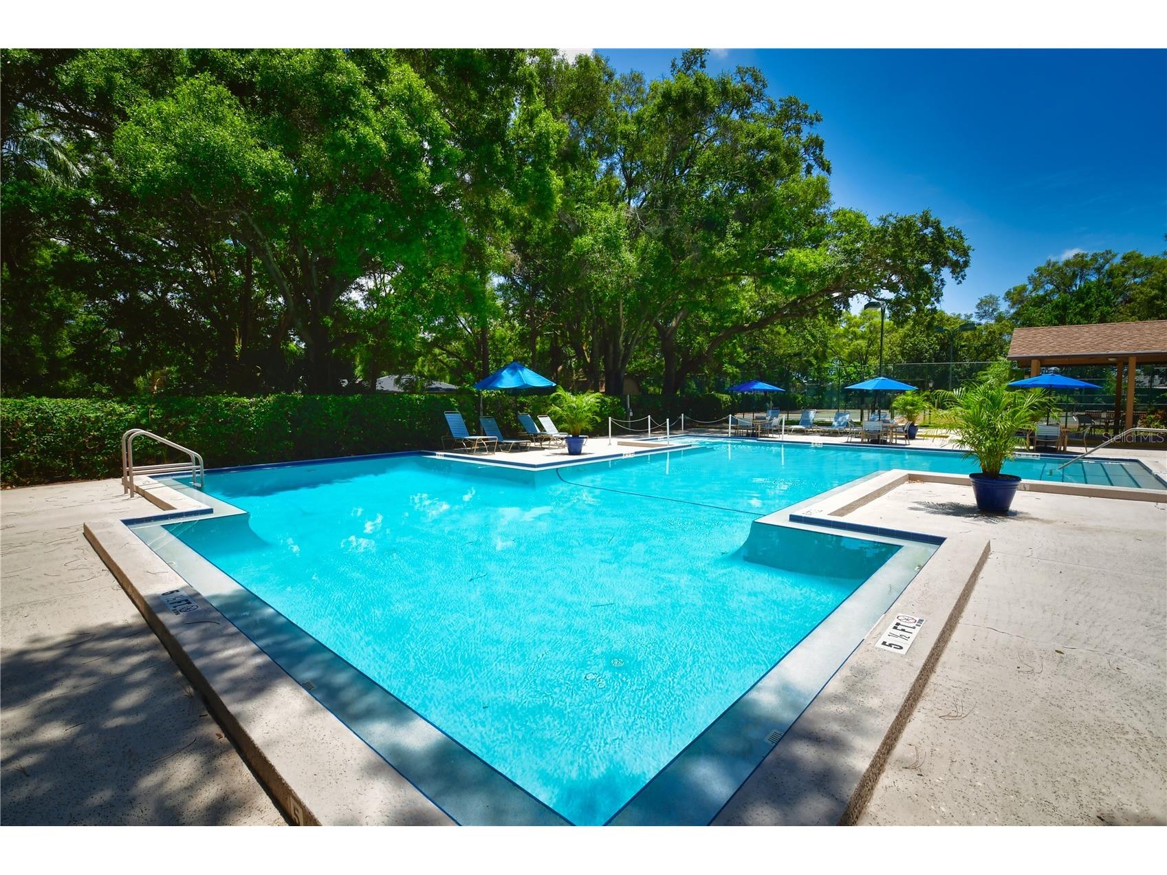 11711 Ridgeview Lane Seminole FL 33772 TB8454378 image23