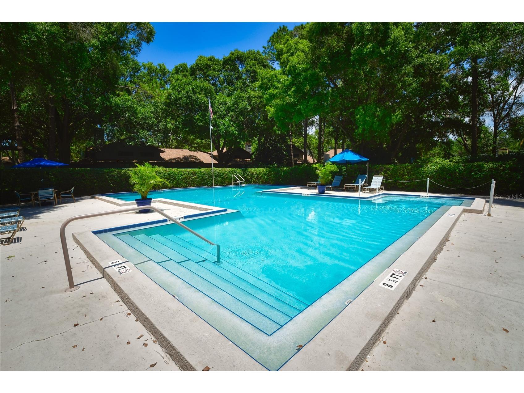 11711 Ridgeview Lane Seminole FL 33772 TB8454378 image25