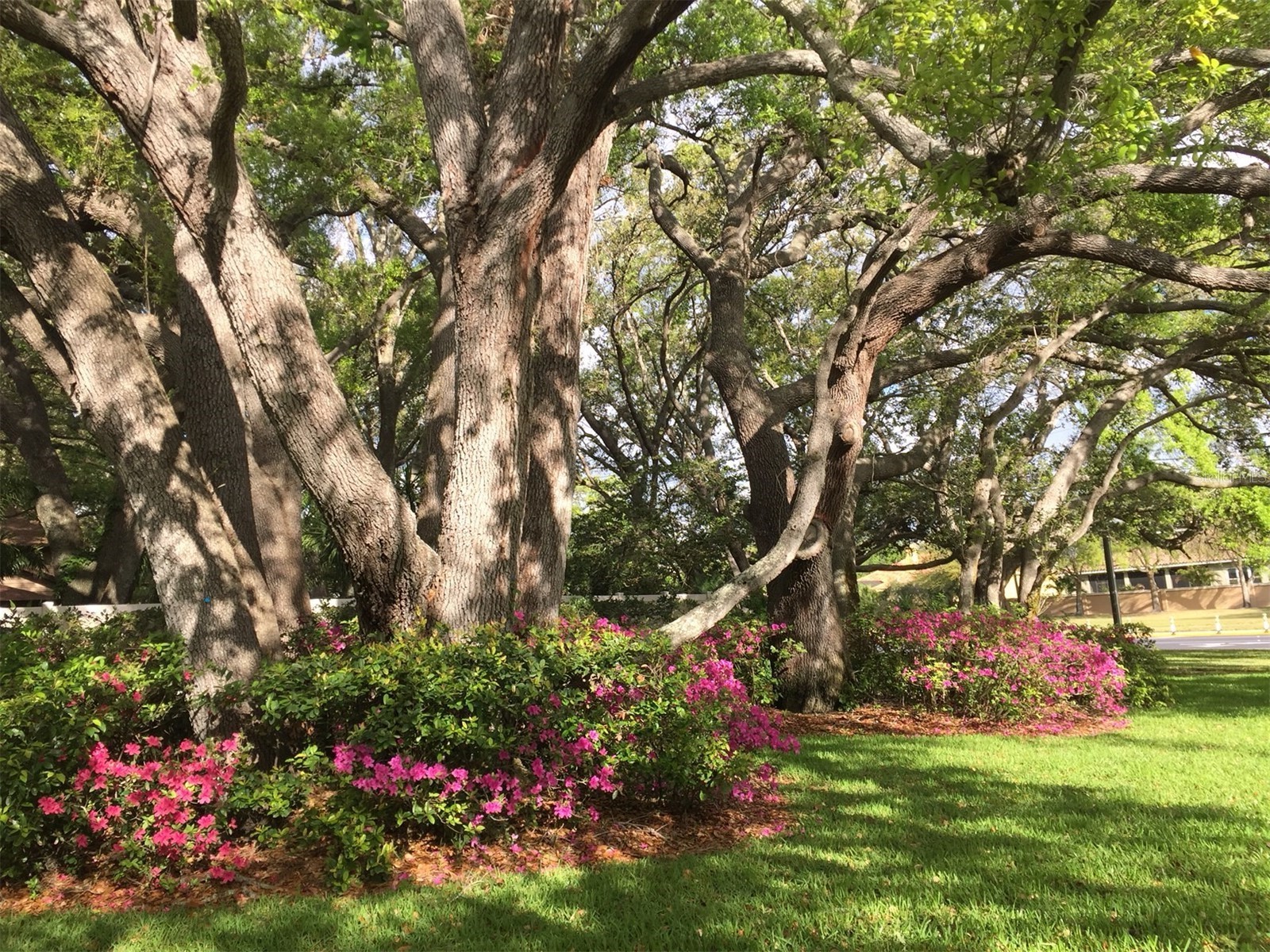 11711 Ridgeview Lane Seminole FL 33772 TB8454378 image29