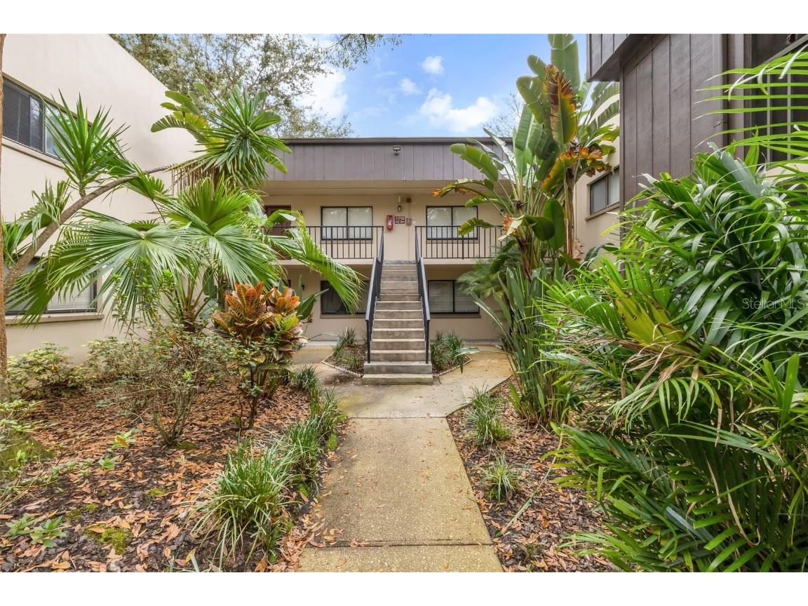 11712 Raintree Village Blvd. #D Tampa FL 33617 T3500003 image1