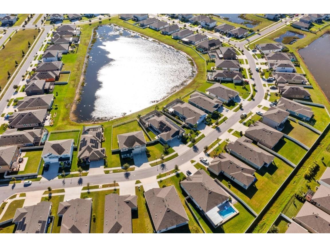 11712 Tetrafin Drive Riverview FL 33579 TB8438939 image32