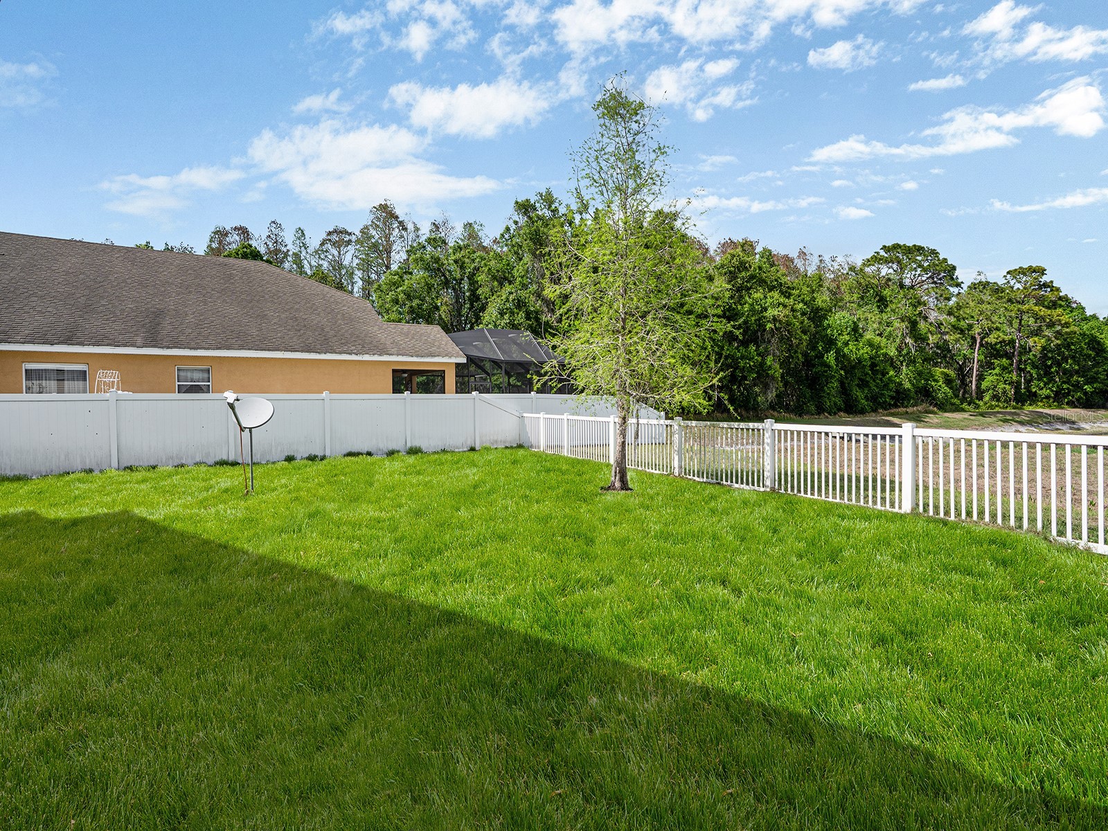 11713 Colony Lakes Boulevard New Port Richey FL 34654 TB8492750 image31