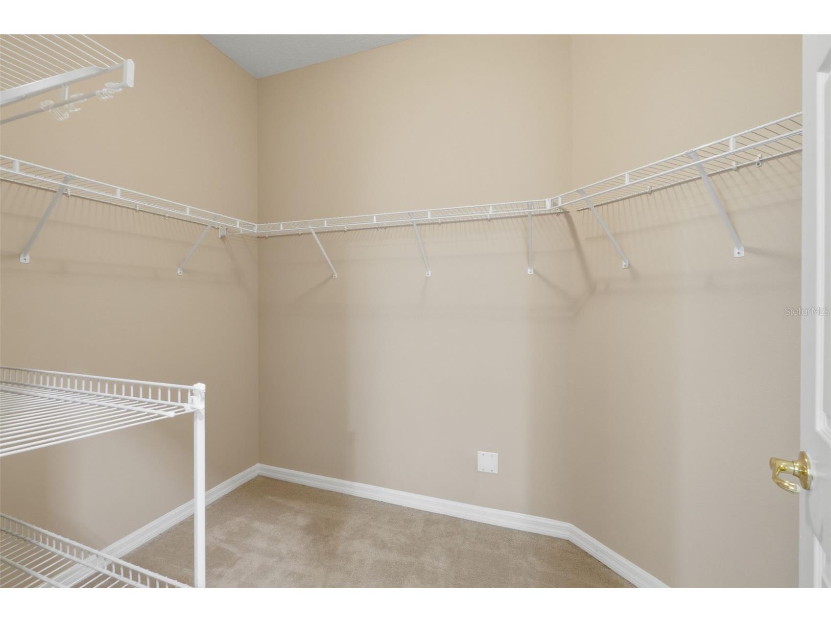11713 Fitzgerald Butler Road Orlando FL 32836 O6423509 image23