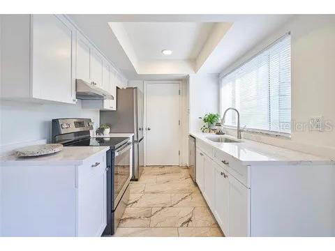 11713 Raintree Drive Tampa FL 33617 C7526972 image5