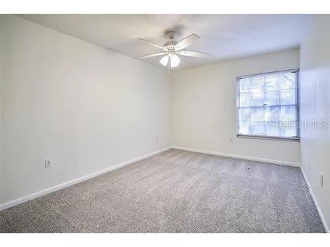 11713 Raintree Drive Tampa FL 33617 C7527272 image12