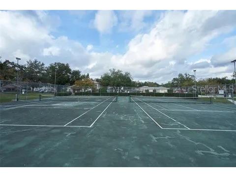 11713 Raintree Drive Tampa FL 33617 C7527272 image20