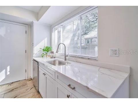 11713 Raintree Drive Tampa FL 33617 C7527272 image4