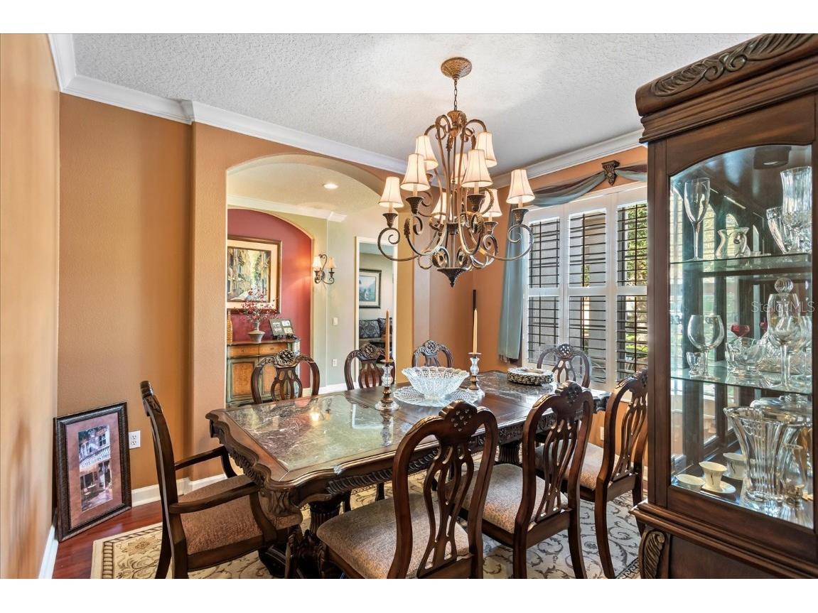 11714 Delwick Drive Windermere FL 34786 O6356567 image10