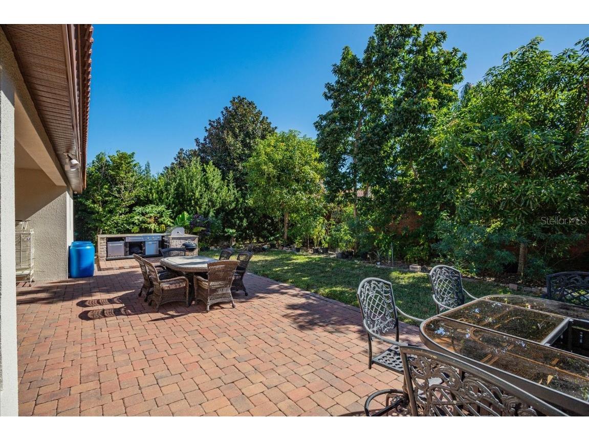 11714 Delwick Drive Windermere FL 34786 O6356567 image28