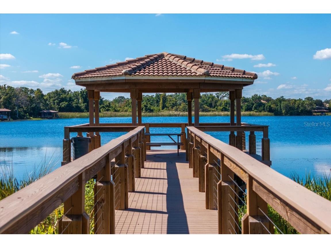 11714 Delwick Drive Windermere FL 34786 O6356567 image38