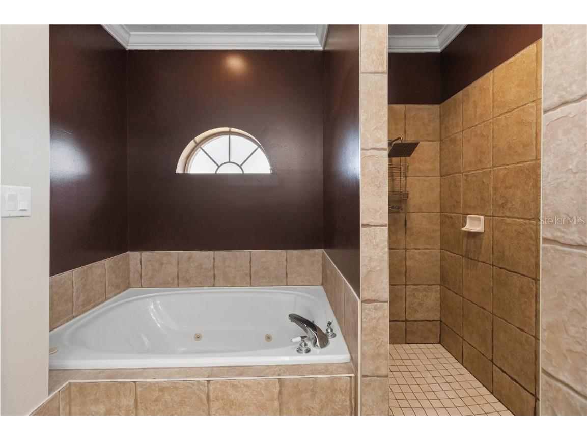 11714 Flynn Court Winter Garden FL 34787 O6361446 image26