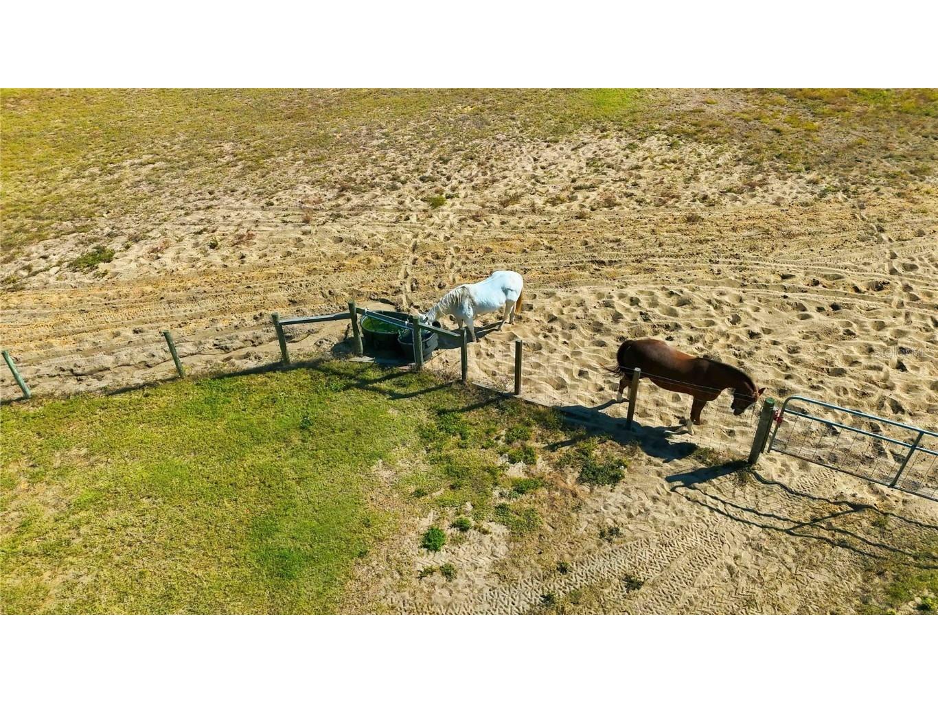 11714 Flynn Court Winter Garden FL 34787 O6361446 image49