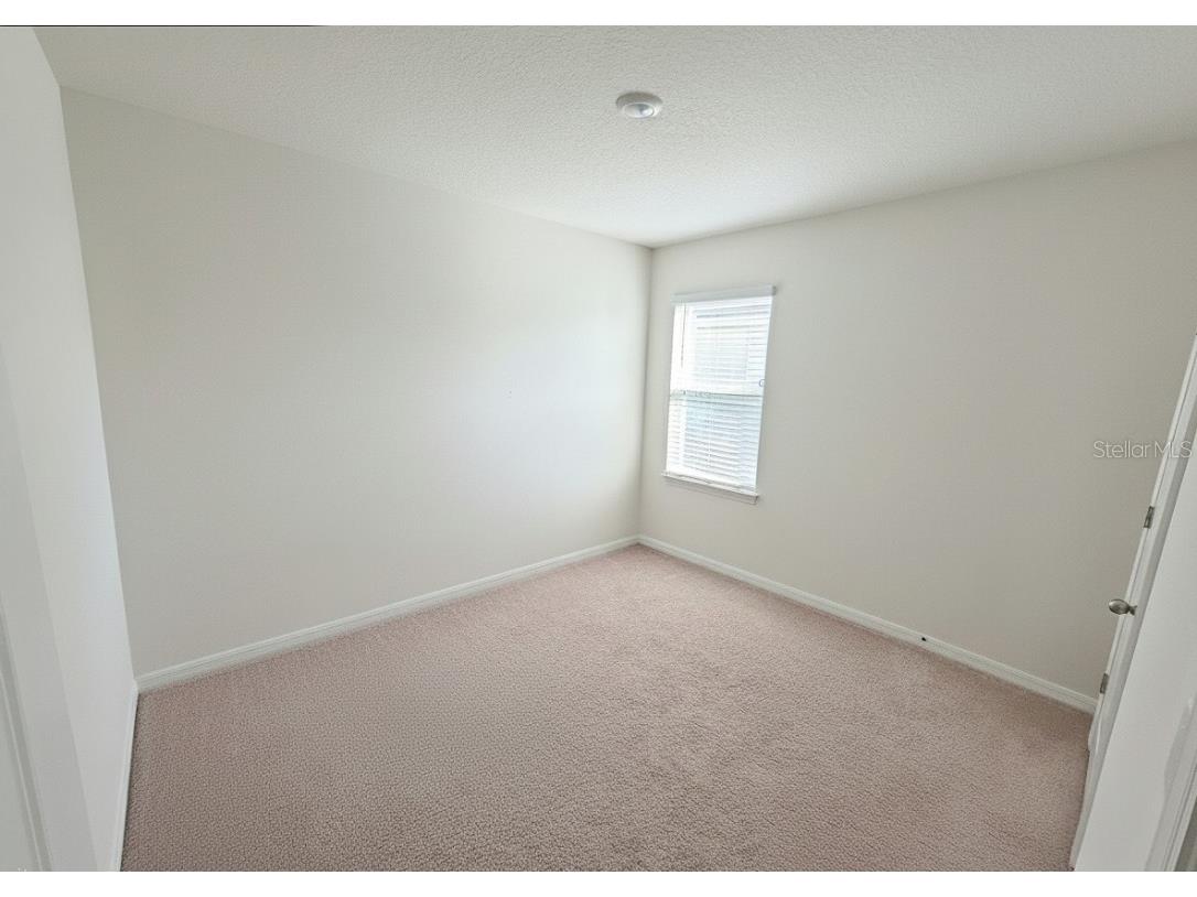 11714 Miracle Mile Drive Riverview FL 33578 TB8452656 image16