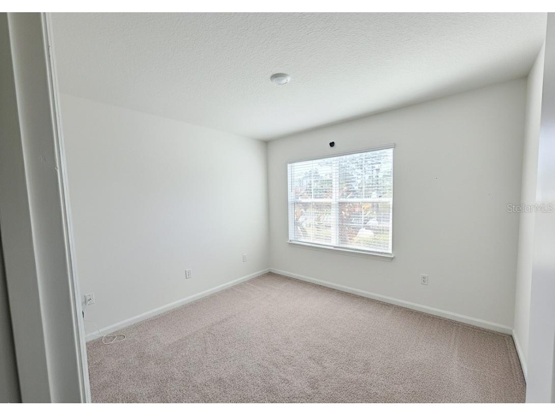 11714 Miracle Mile Drive Riverview FL 33578 TB8452656 image19