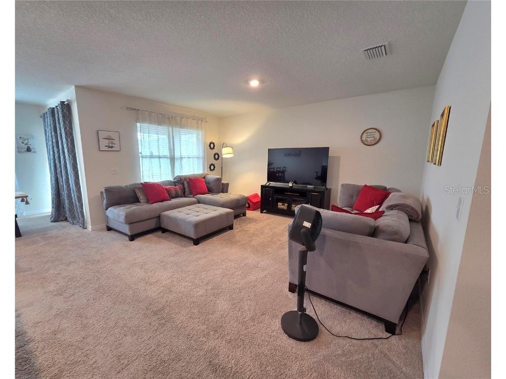 11714 Miracle Mile Drive Riverview FL 33578 TB8452656 image9