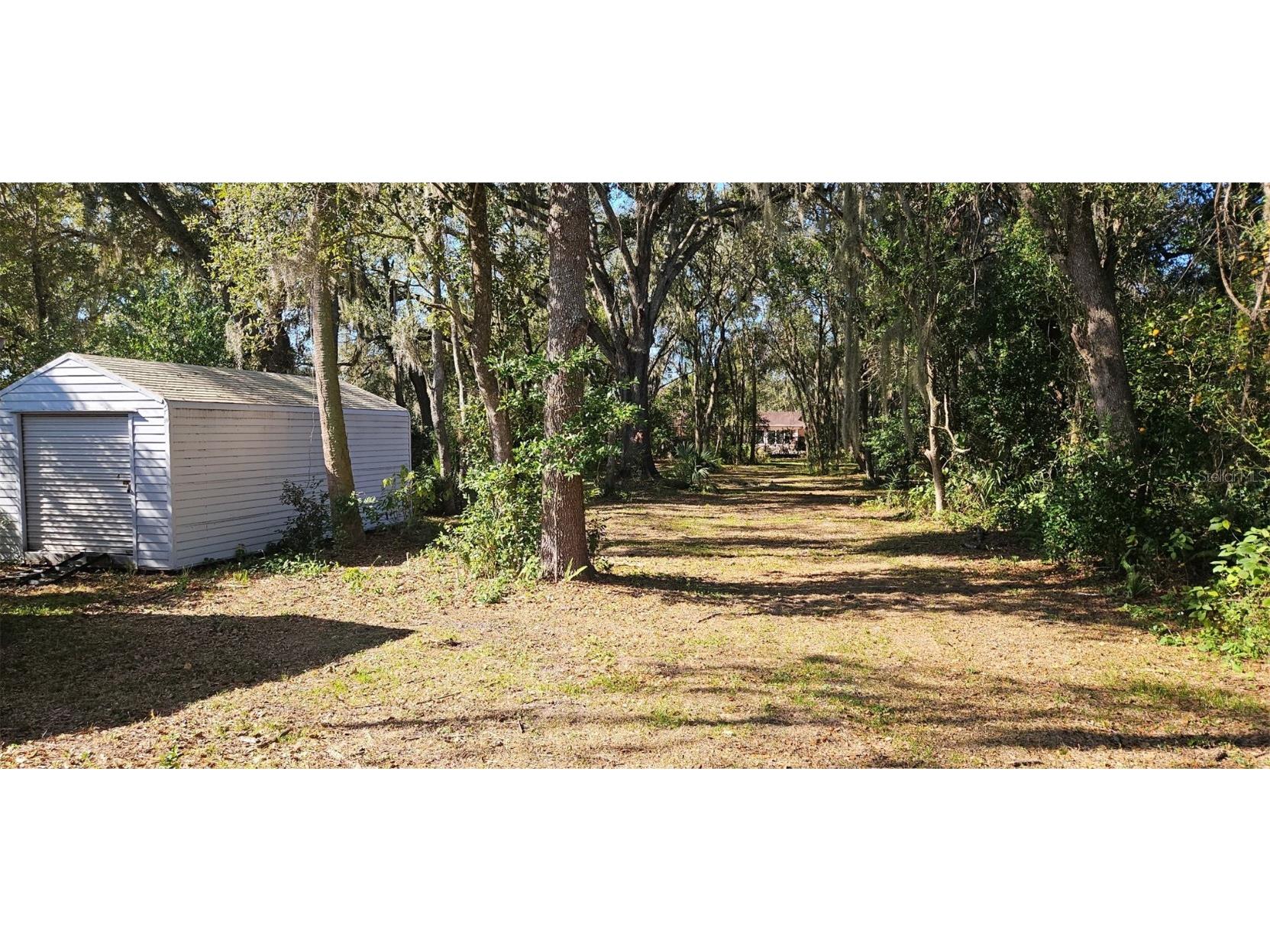 11714 Tom Folsom Road Thonotosassa FL 33592 TB8461494 image9