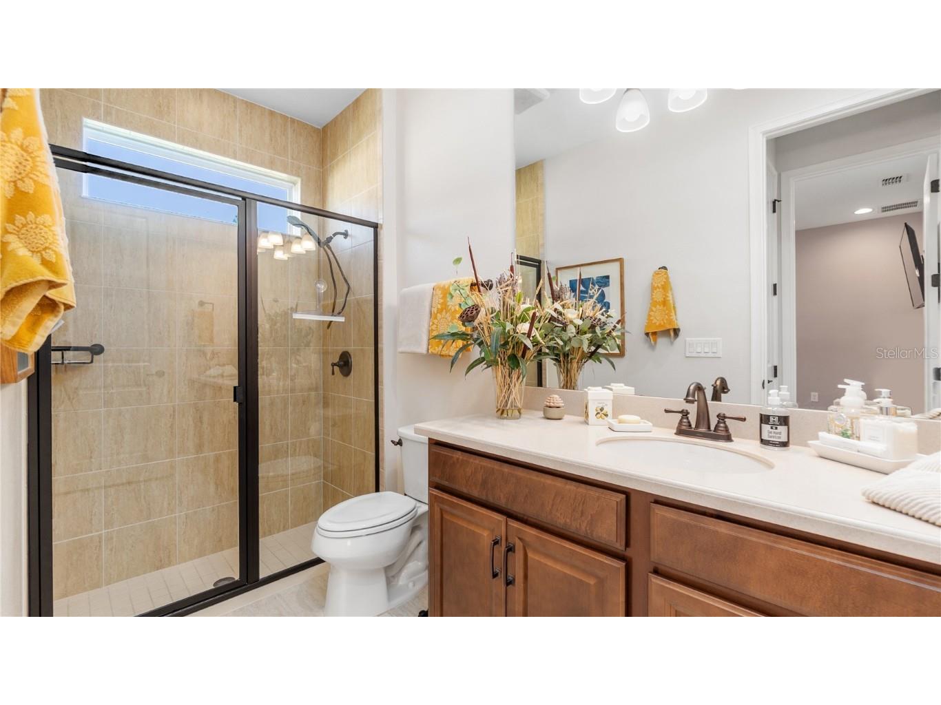 11714 Wrought Pine Loop Riverview FL 33569 TB8445539 image14