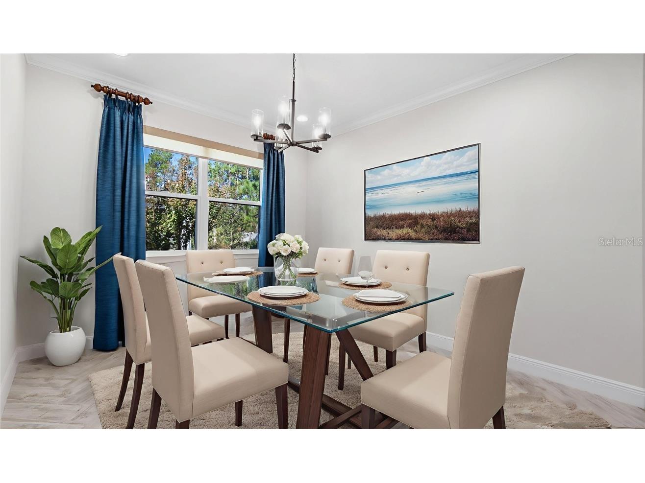 11714 Wrought Pine Loop Riverview FL 33569 TB8445539 image17